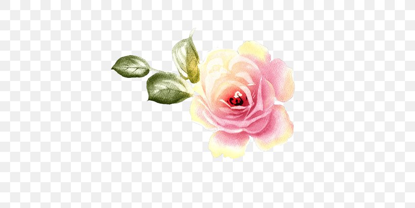 Garden Roses Centifolia Roses Floral Design Flower, PNG, 500x411px, Garden Roses, Artificial Flower, Centifolia Roses, Cut Flowers, Floral Design Download Free