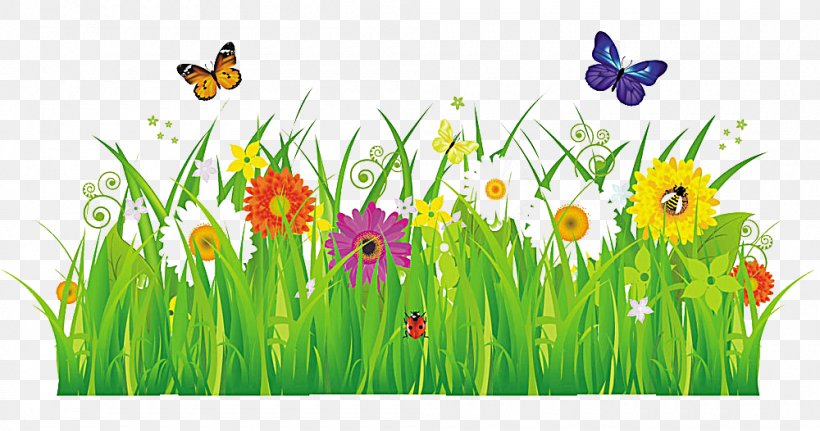 Insect Flower Stock Photography Royalty-free Clip Art, PNG, 1000x526px, Insect, Color, Flora, Floral Design, Floristry Download Free