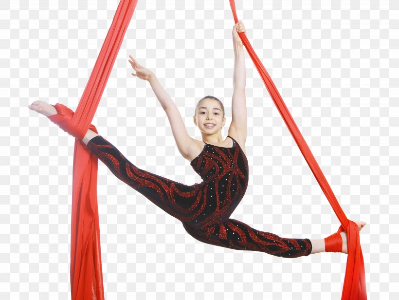 Acrobatics Acrobatic Gymnastics Aerial Silk Rope, PNG, 4976x3744px, Acrobatics, Acrobatic Gymnastics, Aerial Hoop, Aerial Silk, Aerialist Download Free