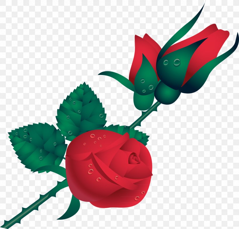 Garden Roses Flower, PNG, 1280x1231px, Rose, Cut Flowers, Flower, Flowering Plant, Garden Roses Download Free