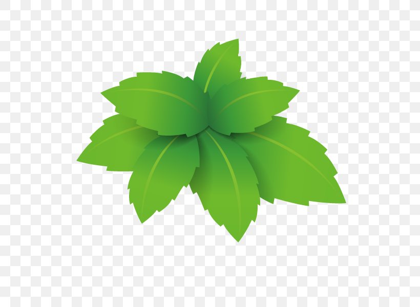 Green Google Images Microchloa, PNG, 600x600px, Green, Arbor Day, Festival, Google Images, Grass Download Free