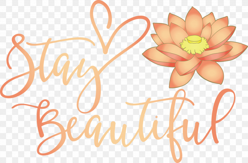Stay Beautiful Fashion, PNG, 3000x1974px, Stay Beautiful, Calligraphy, Fashion, Typography Download Free