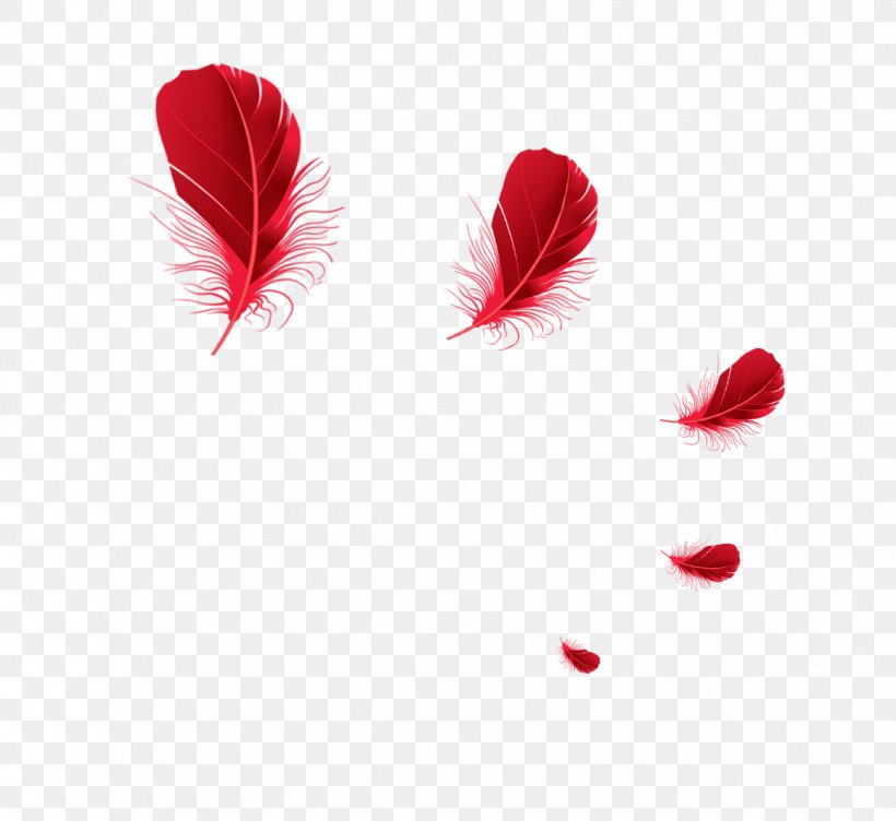 The Floating Feather Red Euclidean Vector, PNG, 1158x1063px, Floating Feather, Color, Element, Feather, Gratis Download Free