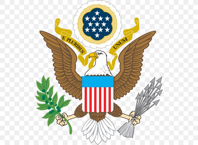 United States Bald Eagle Symbol Clip Art, PNG, 528x600px, United States, American Eagle Outfitters, Bald Eagle, Beak, Crest Download Free
