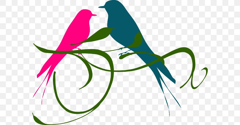 Lovebird Budgerigar Silhouette Clip Art, PNG, 600x430px, Lovebird, Area, Artwork, Beak, Bird Download Free