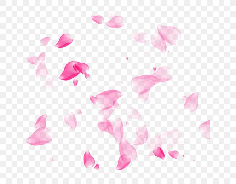 Petal Flower, PNG, 640x640px, Petal, Designer, Flower, Flowering Plant, Magenta Download Free