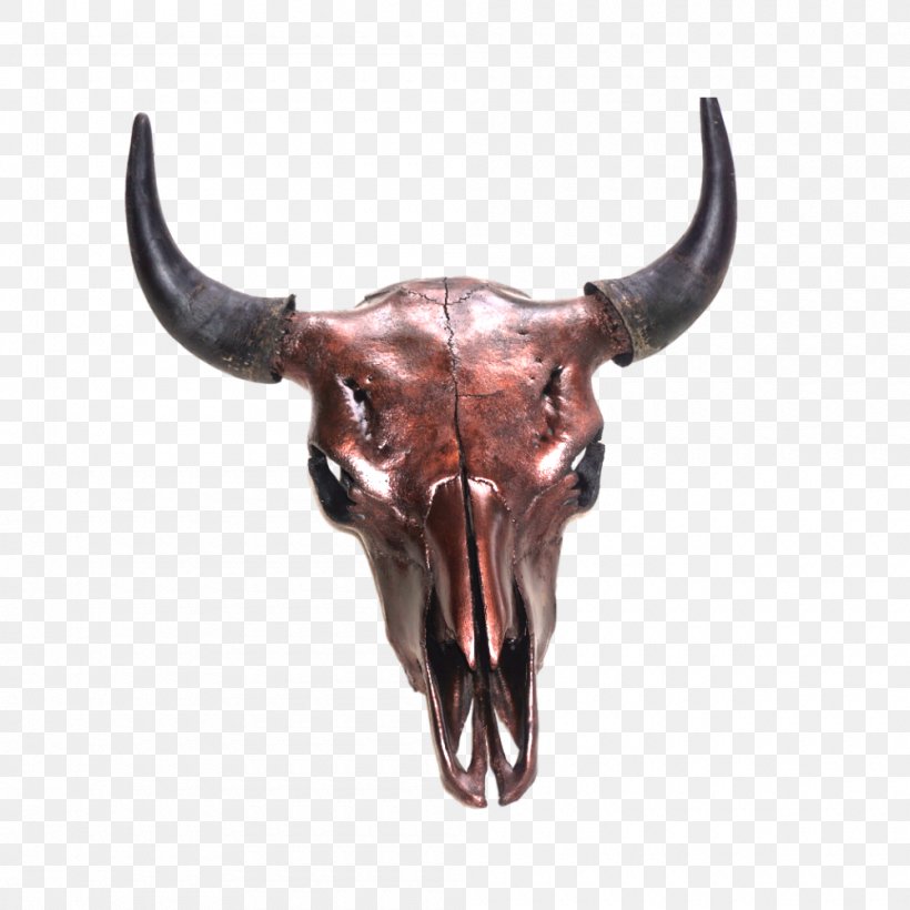 Skull American Bison Horn Cattle Hunting, PNG, 1000x1000px, Skull, American Bison, American Frontier, Bison, Blanket Download Free