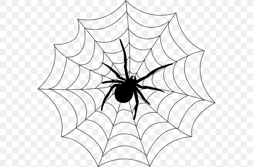Spider Web Printing Decal, PNG, 576x544px, Spider, Arachnid, Area, Artwork, Black Download Free