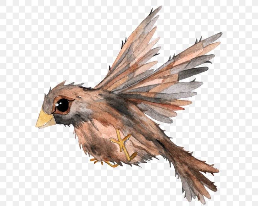 Bird Painting, PNG, 600x656px, Bird, Beak, Bird Of Prey, Birdandflower Painting, Chicken Download Free