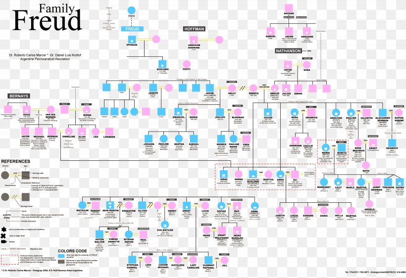 Birth House Of Sigmund Freud Freud Family Genealogy Family Tree, PNG, 3000x2057px, Family, Area, Diagram, Edward Bernays, Family Tree Download Free