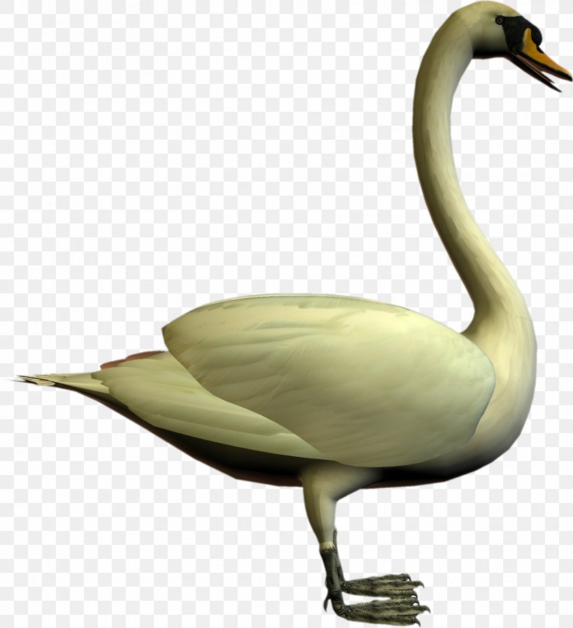 Cygnini Goose Bird Duck, PNG, 1765x1937px, Cygnini, Anatidae, Animal, Anseriformes, Beak Download Free