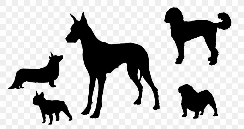 Dog Breed Silhouette Race, PNG, 2005x1059px, Dog Breed, Bella, Black And White, Breed, Carnivoran Download Free