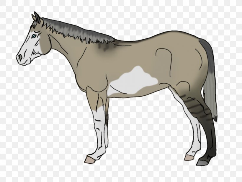 Mule Foal Stallion Mare Rein, PNG, 900x677px, Mule, Animal Figure, Bridle, Colt, Donkey Download Free