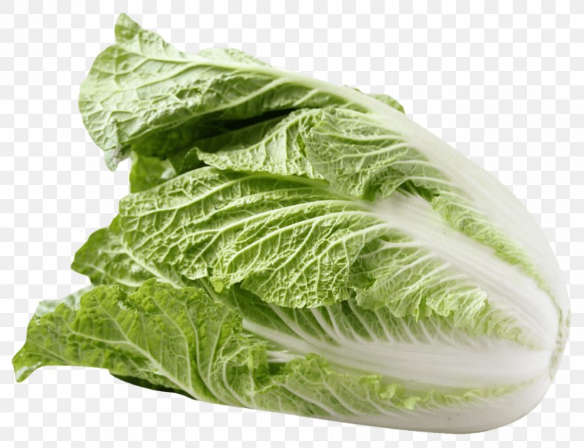 Romaine Lettuce Caesar Salad Chinese Cuisine Savoy Cabbage, PNG, 850x654px, Romaine Lettuce, Brassica Juncea, Brassica Oleracea, Cabbage, Cabbages Download Free