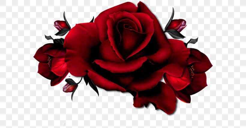 Rose Pink Red Clip Art, PNG, 600x426px, Rose, Art, Cut Flowers, Floral Design, Floristry Download Free