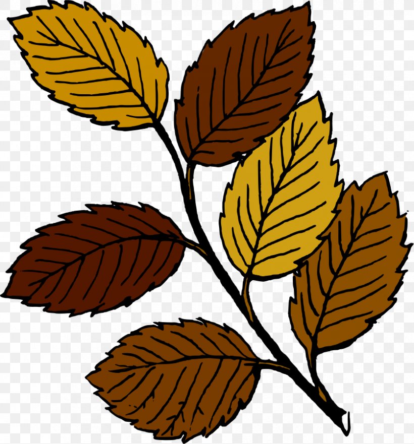 Autumn Leaf Color Free Content Clip Art, PNG, 837x900px, Leaf, Autumn, Autumn Leaf Color, Branch, Free Content Download Free