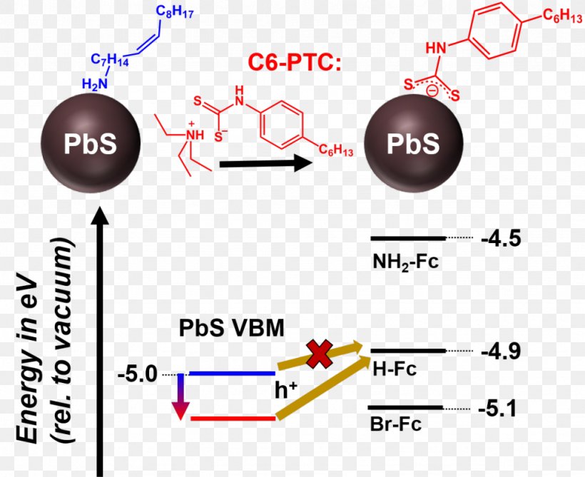 Ligand Charge-transfer Complex Delocalized Electron Line Electric Charge, PNG, 1024x836px, Ligand, Chargetransfer Complex, Coupling, Delocalized Electron, Diagram Download Free