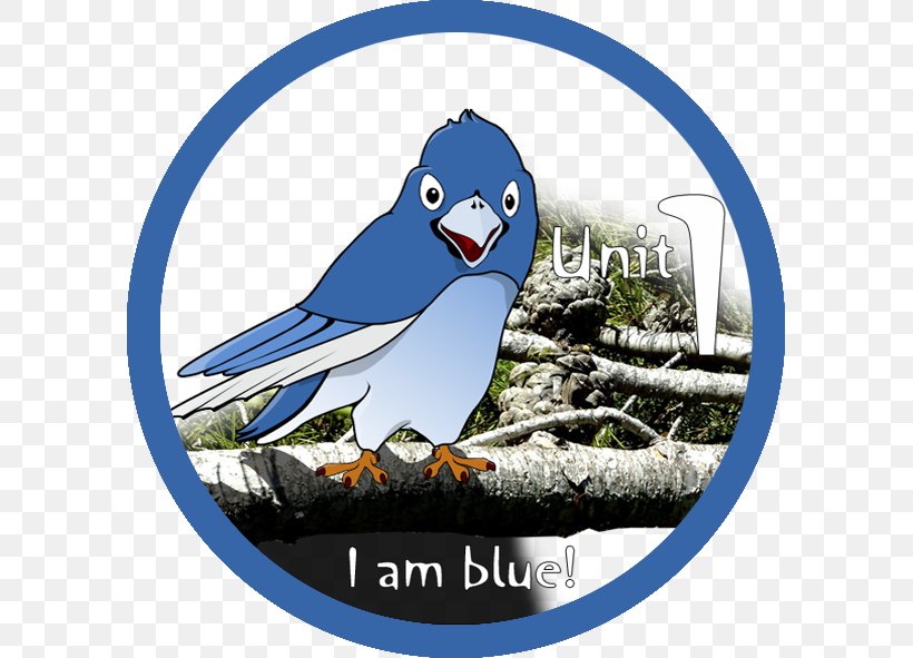 Macaw Penguin Beak, PNG, 591x591px, Macaw, Beak, Bird, Flightless Bird, Parrot Download Free