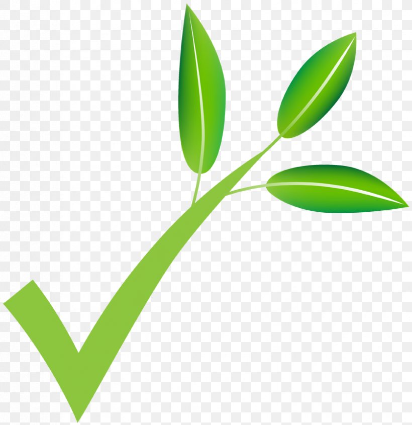 Patate E Cipolle Agriveneto Spa Izambane Plant Stem Vegetable, PNG, 837x863px, Izambane, Flower, Google Play, Grass, Grass Family Download Free