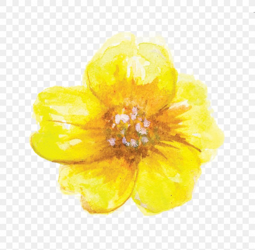 Petal, PNG, 1296x1271px, Petal, Flower, Yellow Download Free