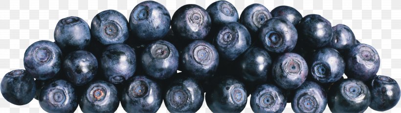 Blueberries, PNG, 5171x1462px, Blueberry, Automotive Tire, Berry, Bilberry, European Blueberry Download Free