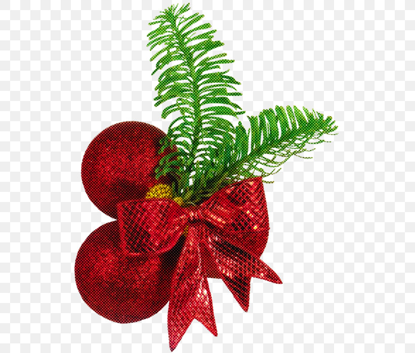 Christmas Decoration, PNG, 527x699px, Plant, Anthurium, Branch, Christmas, Christmas Decoration Download Free