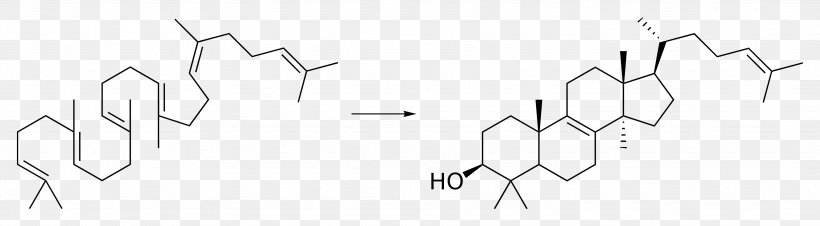 Cytotoxicity Hydrazine Chemistry Natural Product Steroid, PNG, 3629x1004px, Watercolor, Cartoon, Flower, Frame, Heart Download Free