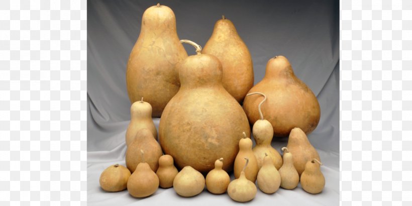 Gourd Winter Squash Calabash Mate Pumpkin, PNG, 1160x580px, Gourd, Acorn Squash, Butternut Squash, Calabash, Cucumber Download Free