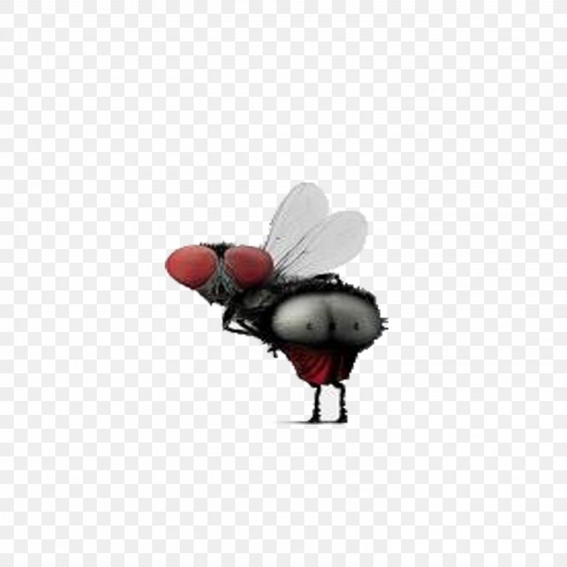 Humour Insect Wing Icon, PNG, 2953x2953px, Humour, Android, Avatar, Fly, Gratis Download Free