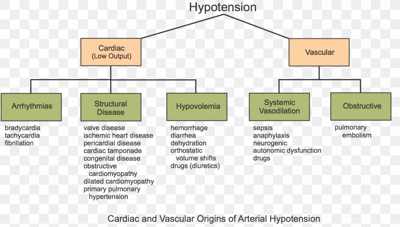 Orthostatic Hypotension Cardiac Output Blood Pressure Hypertension, PNG, 1459x832px, Hypotension, Anaphylaxis, Anatomy, Area, Blood Pressure Download Free