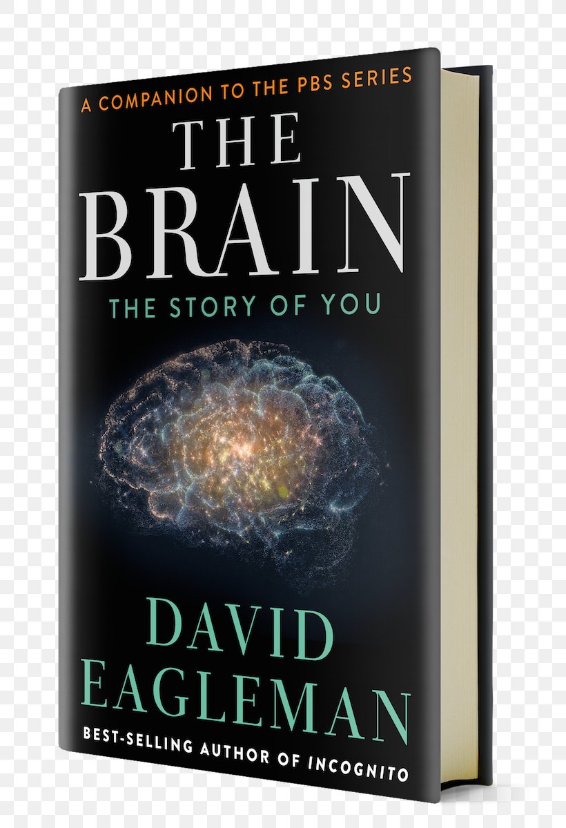 The Brain: The Story Of You Incognito: The Secret Lives Of The Brain The Human Brain Book Amazon.com, PNG, 800x1199px, Brain, Amazoncom, Book, Brain With David Eagleman, Cerebrum Download Free