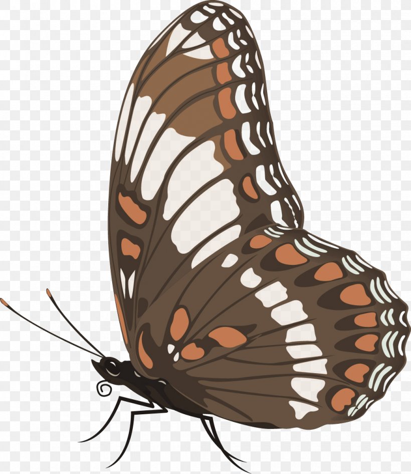 Butterfly Insect Clip Art, PNG, 1040x1199px, Butterfly, Arthropod, Brush Footed Butterfly, Butterflies And Moths, Color Download Free