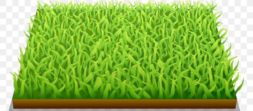 FIFA World Cup Football Pitch, PNG, 763x361px, Fifa World Cup, Ball, Commodity, Football, Football Pitch Download Free