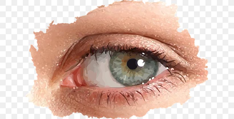 Iris Eye Vector Graphics Retina Image, PNG, 640x418px, Watercolor, Cartoon, Flower, Frame, Heart Download Free