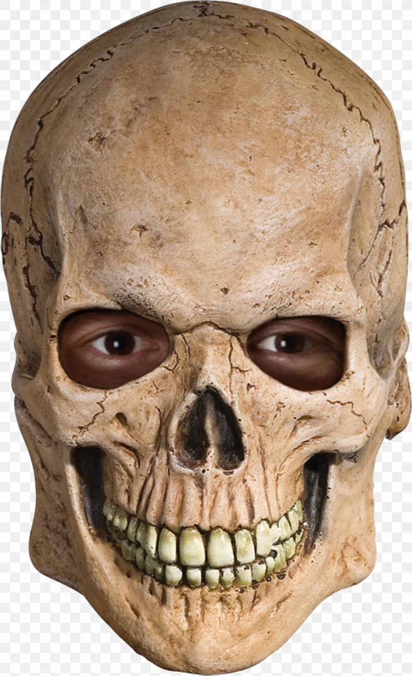 Mask Skull Human Skeleton Costume, PNG, 1473x2418px, Mask, Bone, Clothing, Clothing Accessories, Costume Download Free
