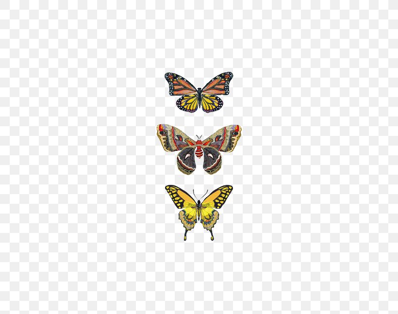 Monarch Butterfly Insect Greta Oto Moth, PNG, 500x647px, Butterfly, Animal, Arthropod, Brush Footed Butterfly, Butterflies And Moths Download Free