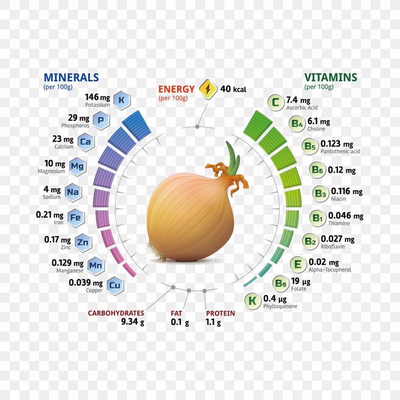Nutrient Shallot Vitamin Mineral, PNG, 1772x1772px, Nutrient, Area, Brand, Diagram, Diet Download Free