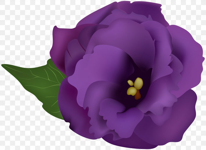 Purple Drawing Clip Art, PNG, 8000x5833px, Purple, Blue, Drawing, Flower, Flowering Plant Download Free