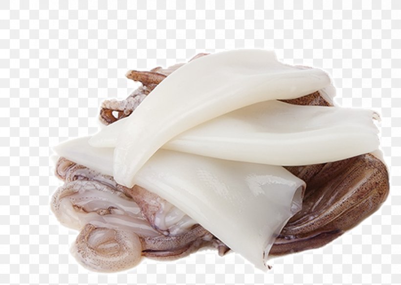 Seafood Animal Fat, PNG, 843x600px, Seafood, Animal Fat, Animal Source  Foods, Fat, Food Download Free