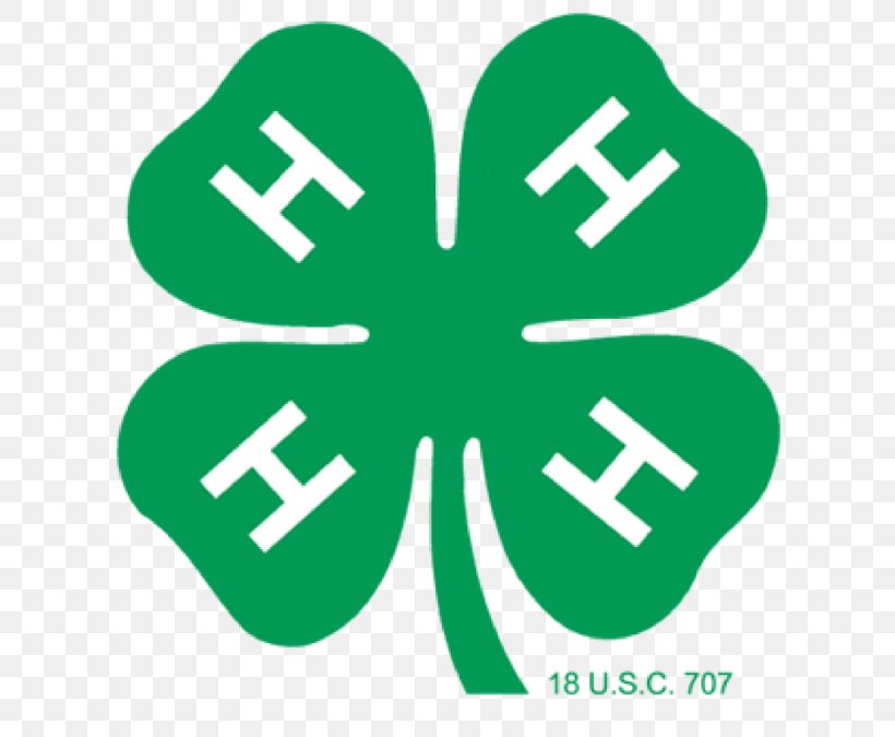 4-H Clip Art Clover Organization Paper, PNG, 700x675px, Clover, Agriculture, Area, Fourleaf Clover, Grass Download Free