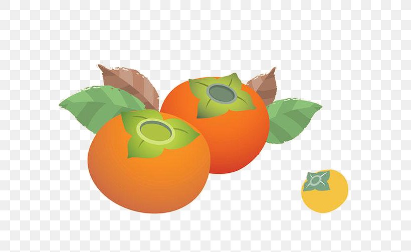 Japanese Persimmon Clementine Tangerine, PNG, 696x503px, Japanese Persimmon, Apple, Auglis, Citrus, Clementine Download Free