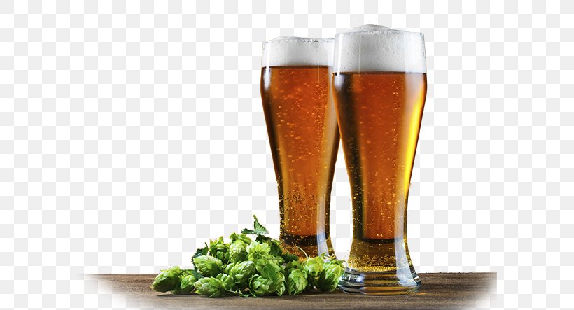 Beer Universe Beer Glasses Hops, PNG, 600x443px, Beer, Beer Brewing Grains Malts, Beer Glass, Beer Glasses, Brewery Download Free