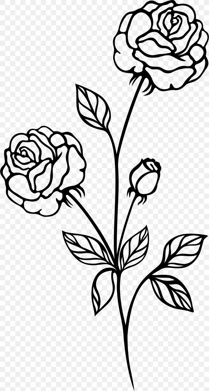 Black Rose Black And White Clip Art, PNG, 1282x2400px, Rose, Art, Artwork, Black, Black And White Download Free