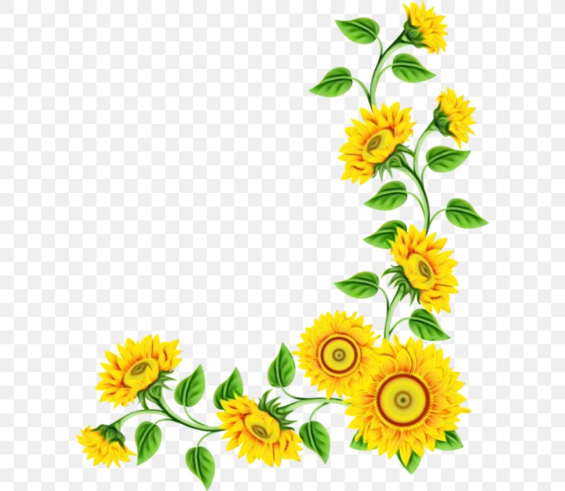 Key Chains Flower Video Image Television, PNG, 600x713px, Key Chains, Art, Calendula, Chamomile, Common Sunflower Download Free