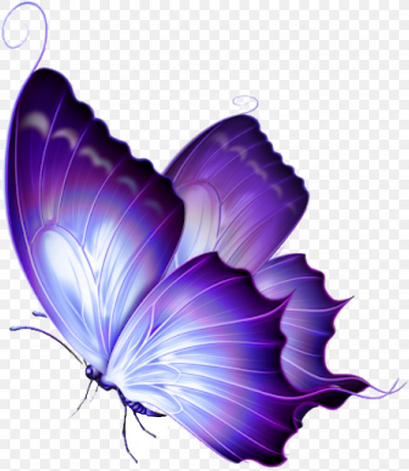 Butterfly Clip Art Image Purple, PNG, 1426x1643px, Butterfly, Blue, Color, Computer, Drawing Download Free