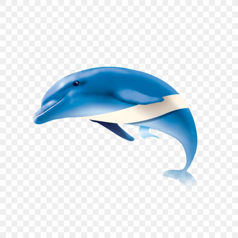 Common Bottlenose Dolphin Short-beaked Common Dolphin Tucuxi, PNG, 1417x1417px, Common Bottlenose Dolphin, Advertising, Aqua, Art, Azure Download Free