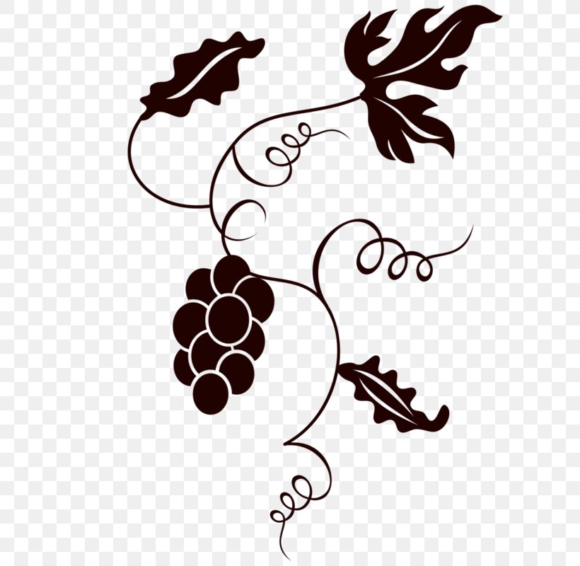 Common Grape Vine Image Wine, PNG, 800x800px, Grape, Branch, Common Grape Vine, Drawing, Flower Download Free