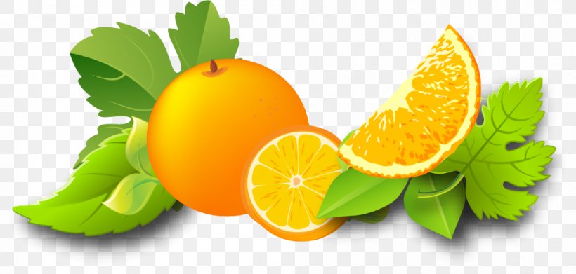 Orange Juice Lemon Auglis, PNG, 1001x478px, Juice, Auglis, Bitter Orange, Citric Acid, Citron Download Free