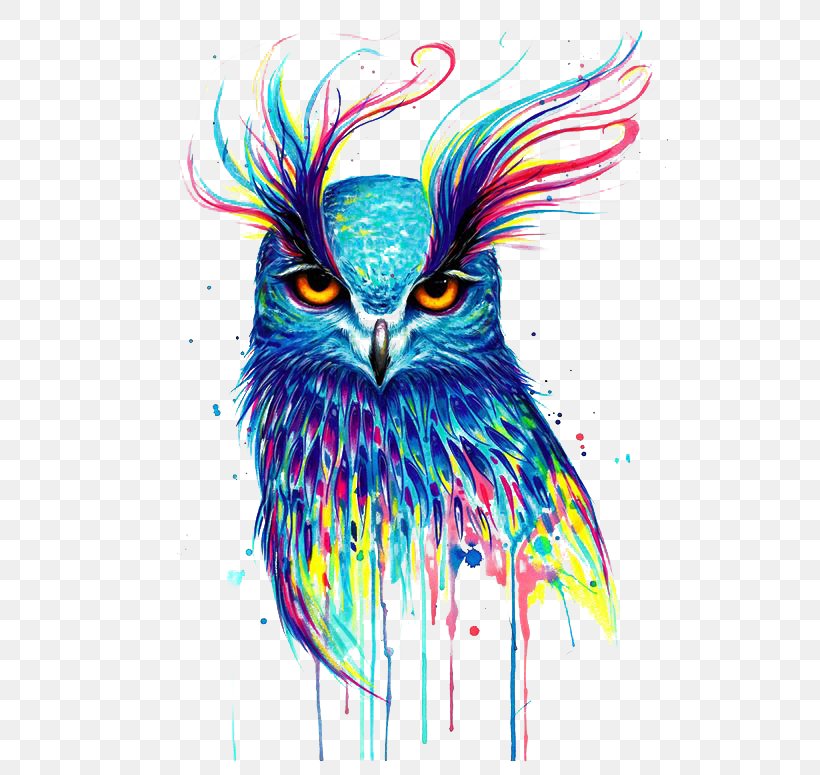 Owl Drawing Artist Painting, PNG, 564x775px, Owl, Art, Artist, Beak, Bird Download Free