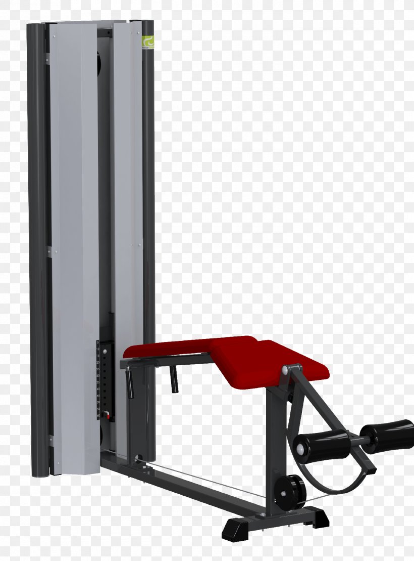 Car Fitness Centre, PNG, 1500x2029px, Car, Automotive Exterior, Exercise Equipment, Exercise Machine, Fitness Centre Download Free